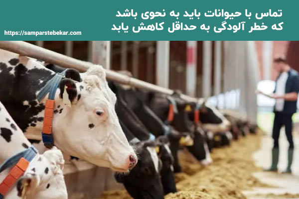 بیماری‌های-مشترک-انسان-و-حیوان
